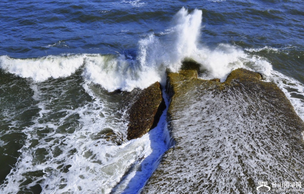 _DSC0498 [1024x768].JPG