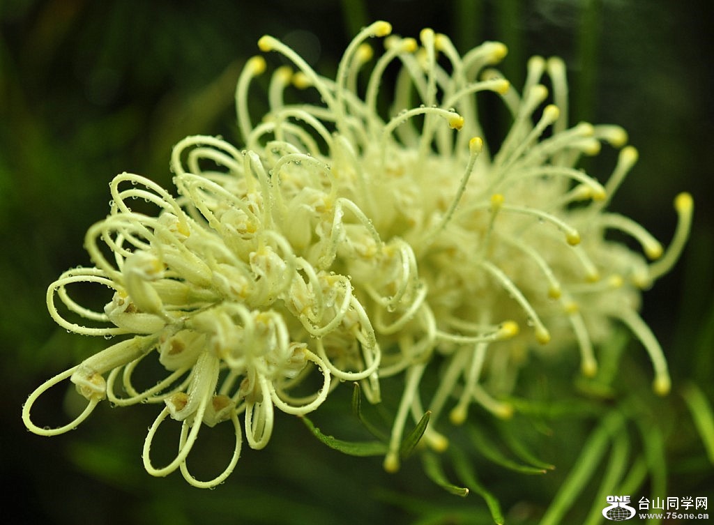 _DSC0022 [1024x768].JPG