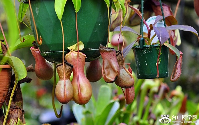 _DSC0510 [800x600].jpg