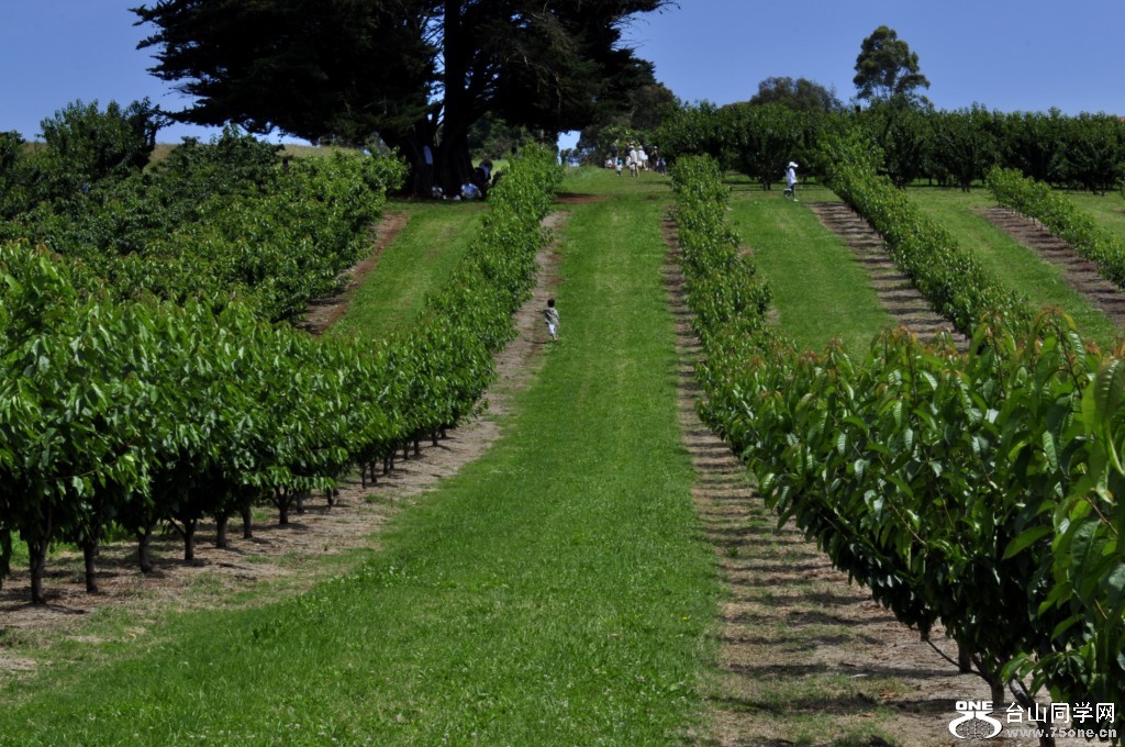 _DSC0256 [1024x768].JPG