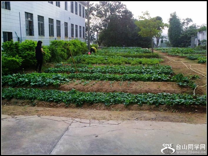 20111031074.jpg