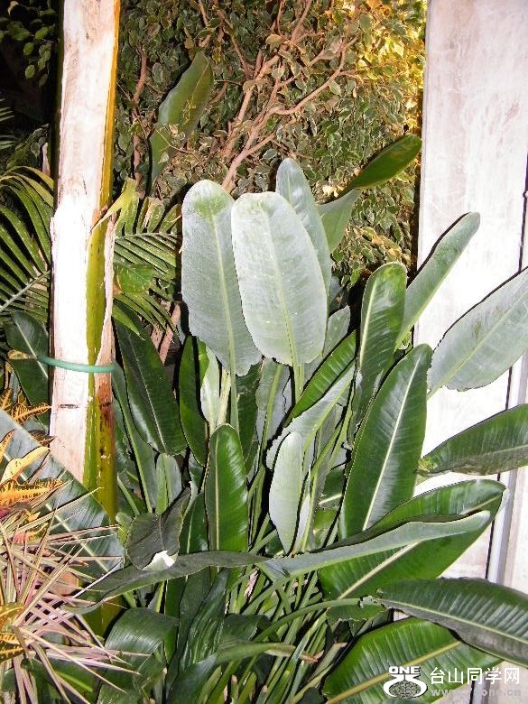 DSCF9340.JPG