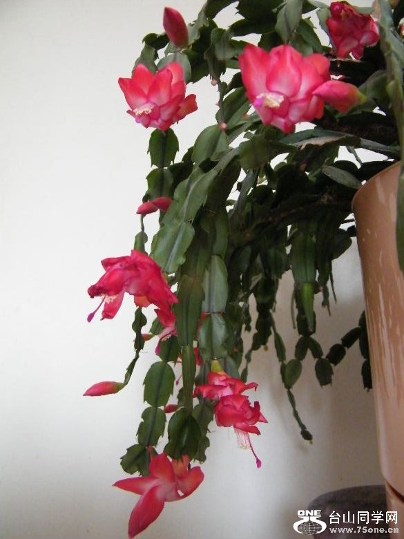 DSCF9766.JPG