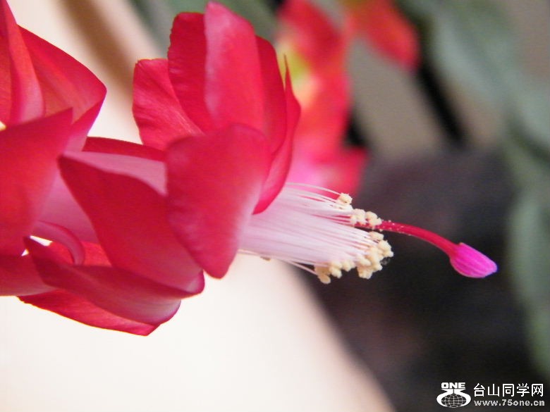 DSCF9771.JPG