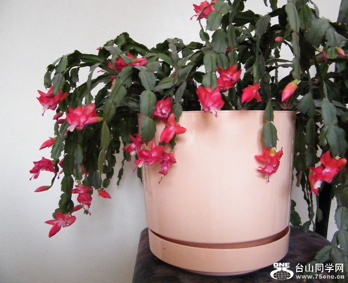 DSCF9764.JPG