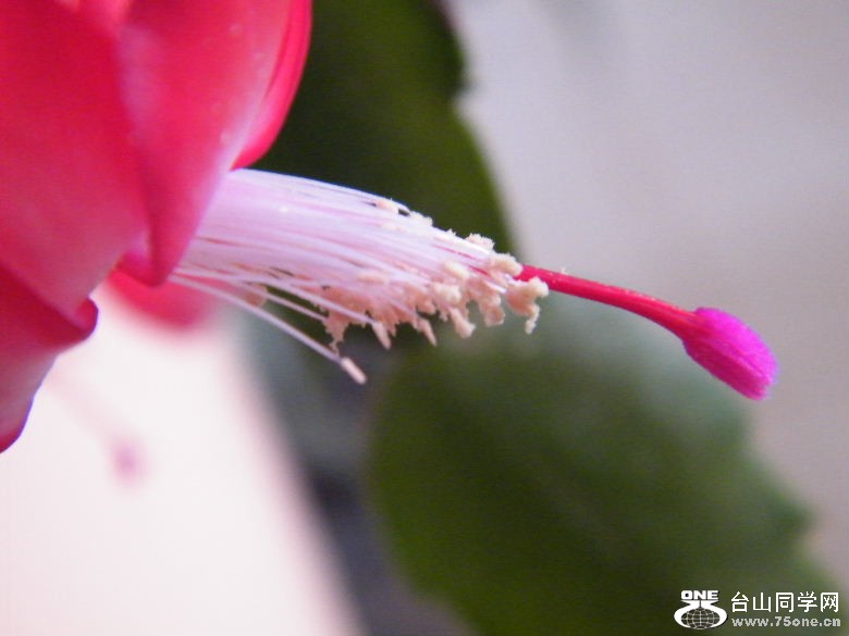 DSCF9773.JPG