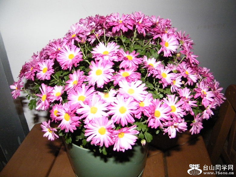 DSCF9352.JPG