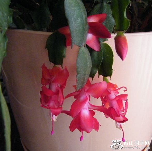 DSCF9692.JPG