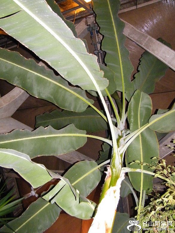 DSCF9341.JPG
