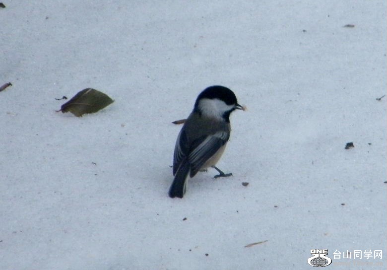 DSCF9790=.jpg