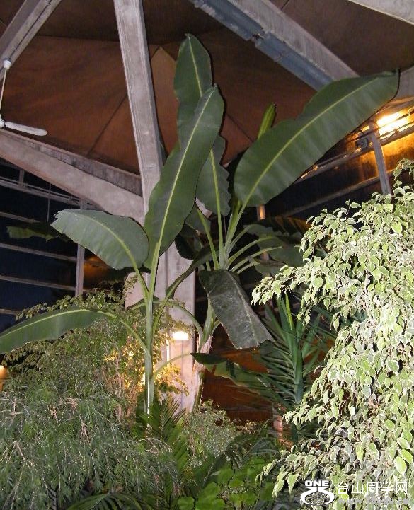 DSCF9357.JPG