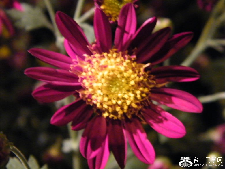 DSCF9348.JPG