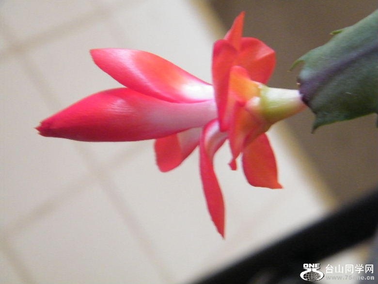 DSCF9767.JPG