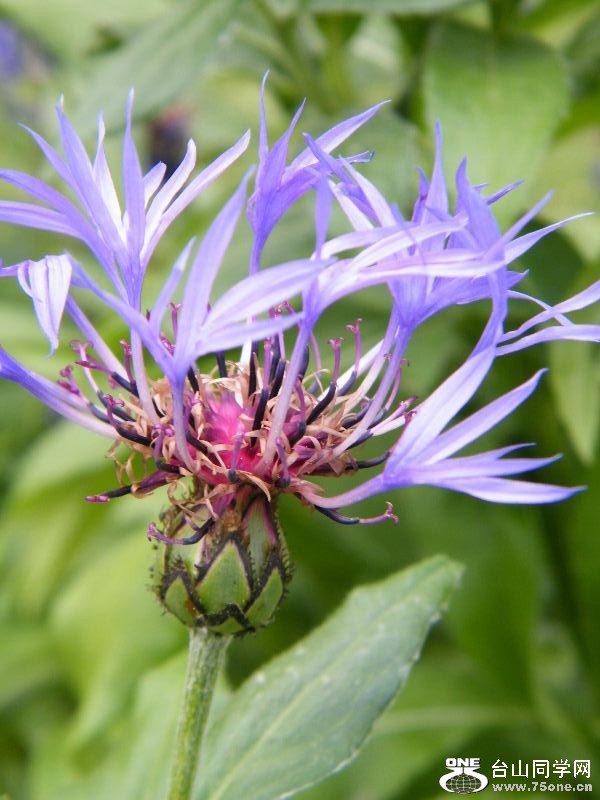 DSCF8719.JPG
