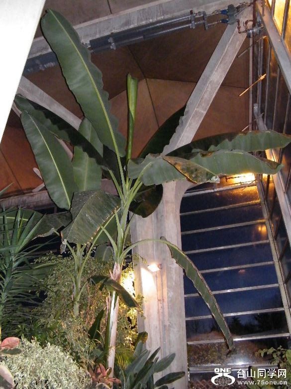 DSCF9339.JPG