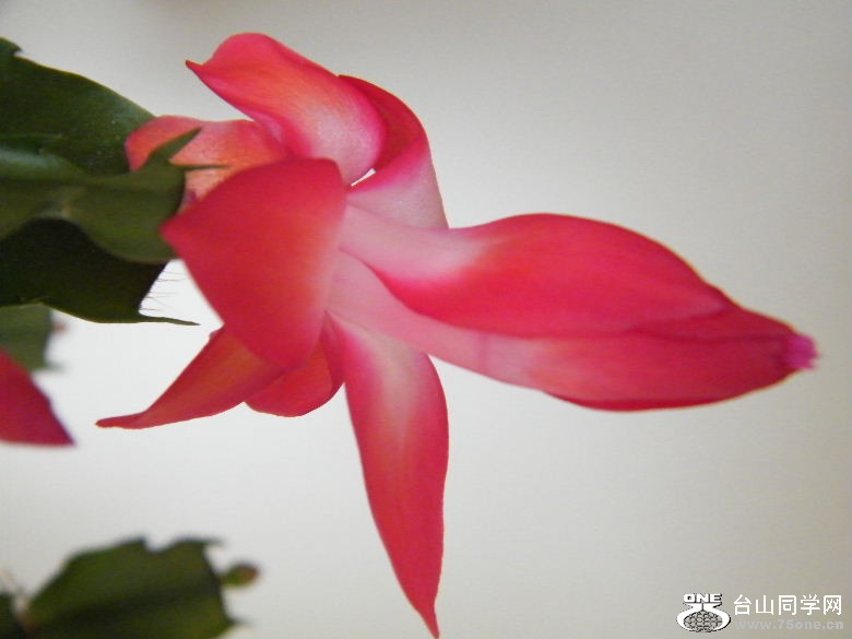 DSCF9768.JPG