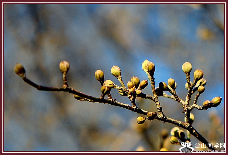 DSC_5822.JPG
