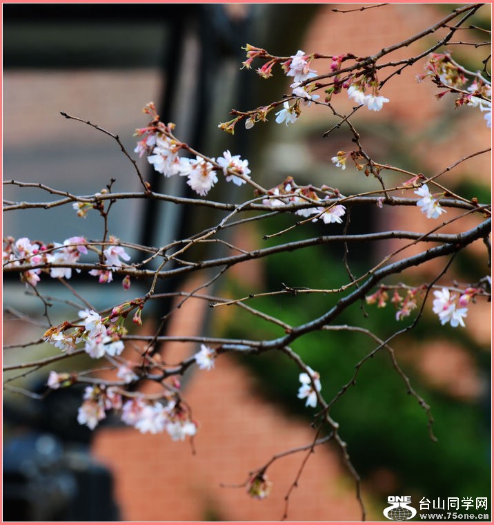DSC_3535.JPG