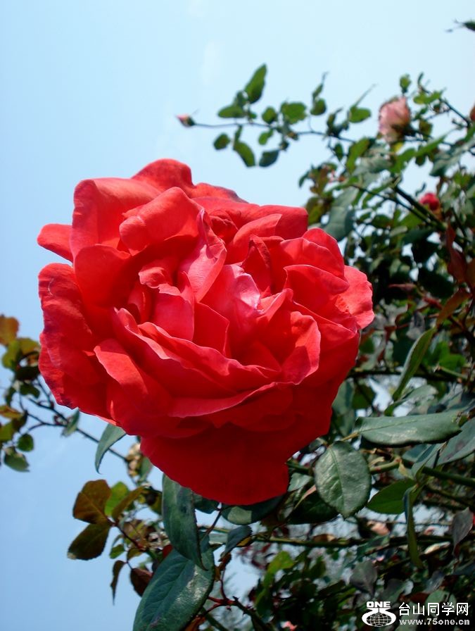 DSC05505.jpg