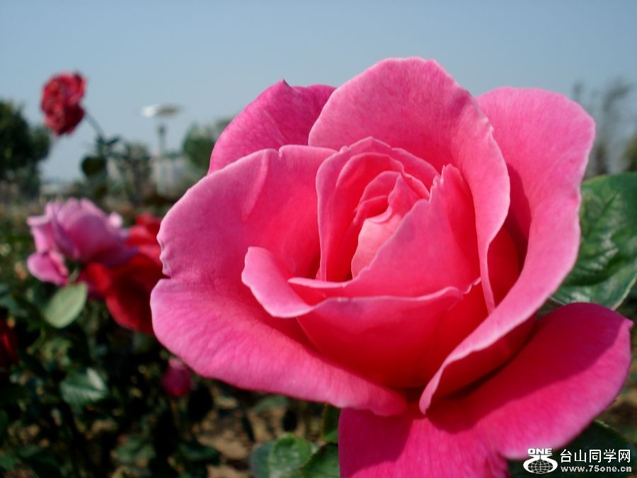 DSC05546.jpg