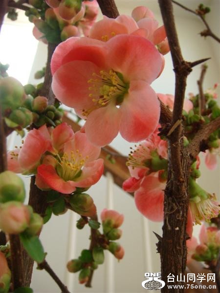 DSC06193 (Medium).JPG