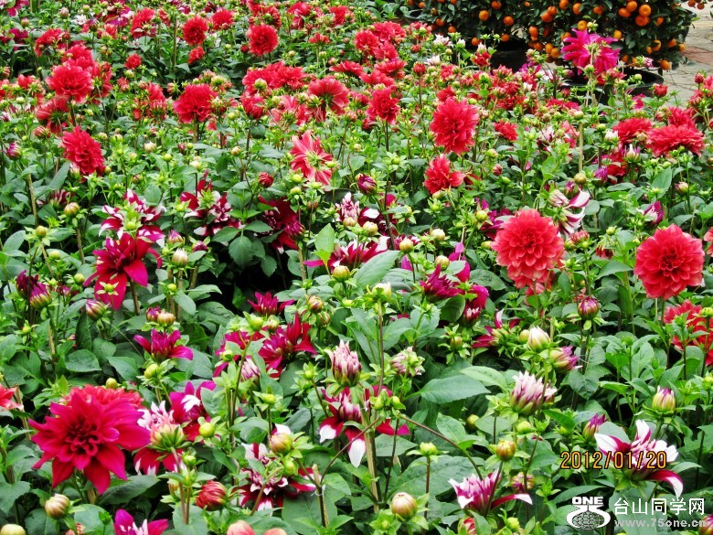 껨λ 101_conew1.jpg