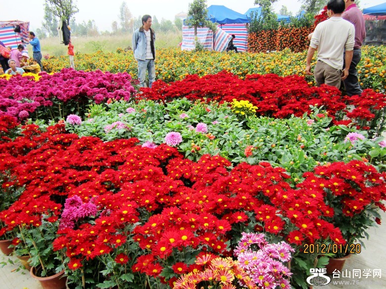 �껨����λ���� 113_conew1.jpg