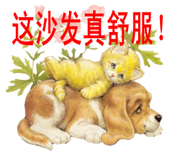 ɳ.gif