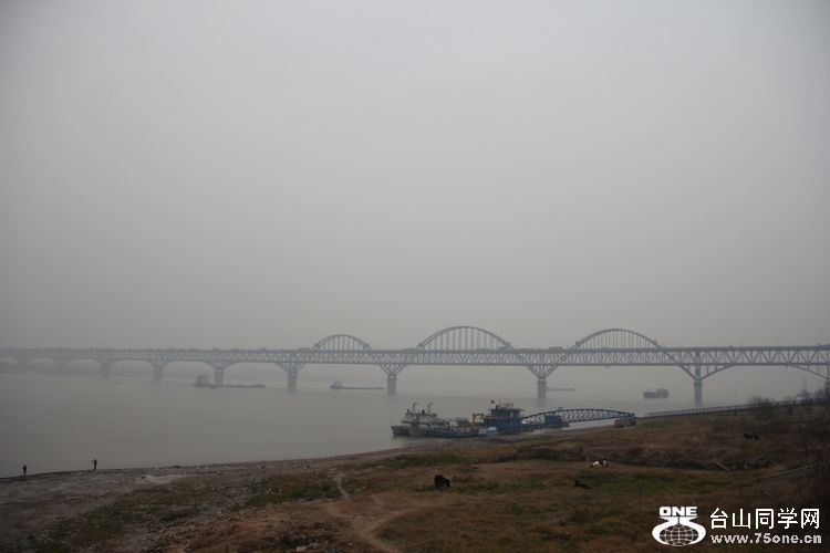 20121151923550619.jpg