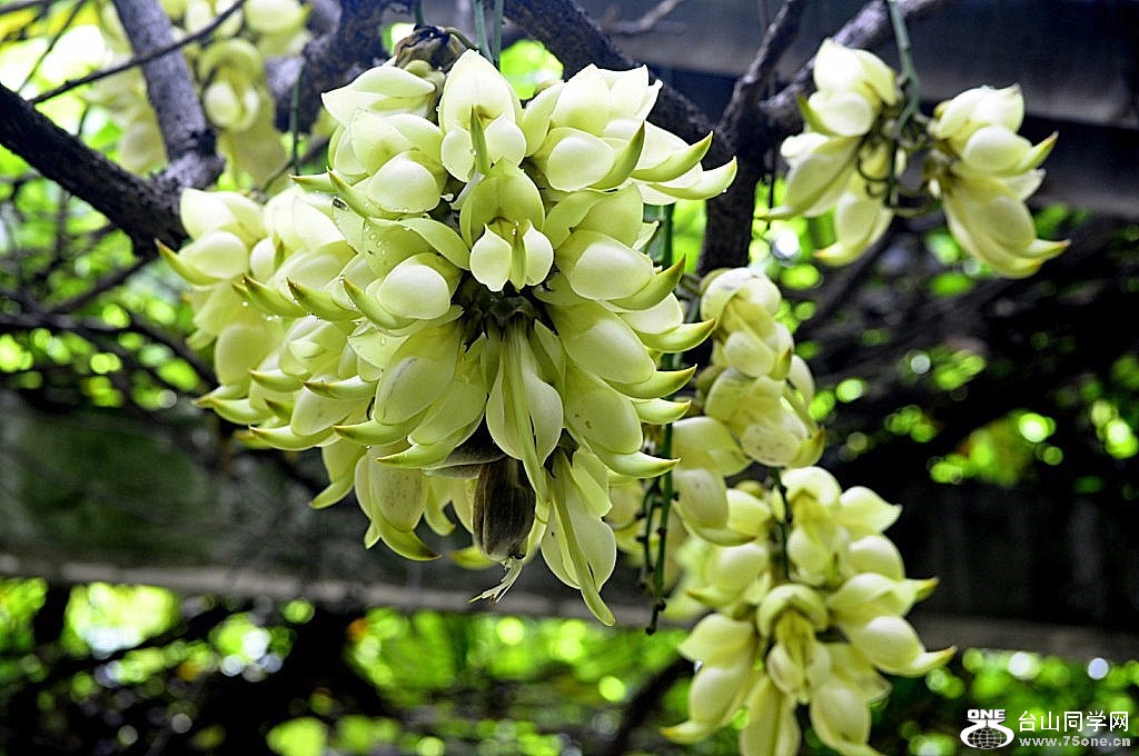 _DSC1208 [1024x768].JPG