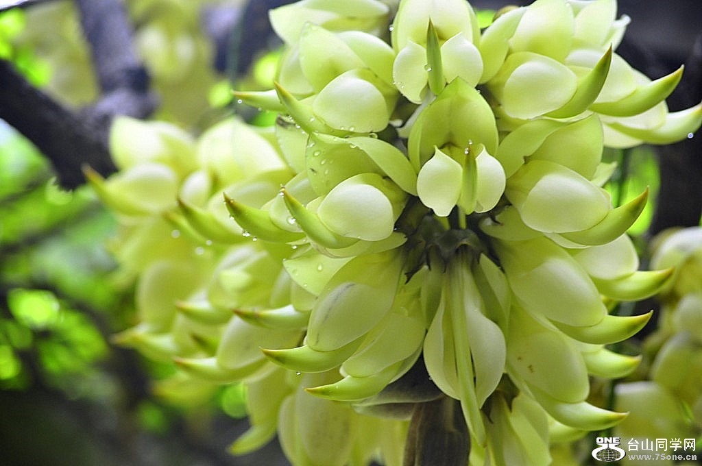 _DSC1205 [1024x768].JPG