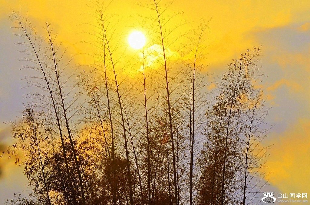 _DSC0397 [1024x768].JPG