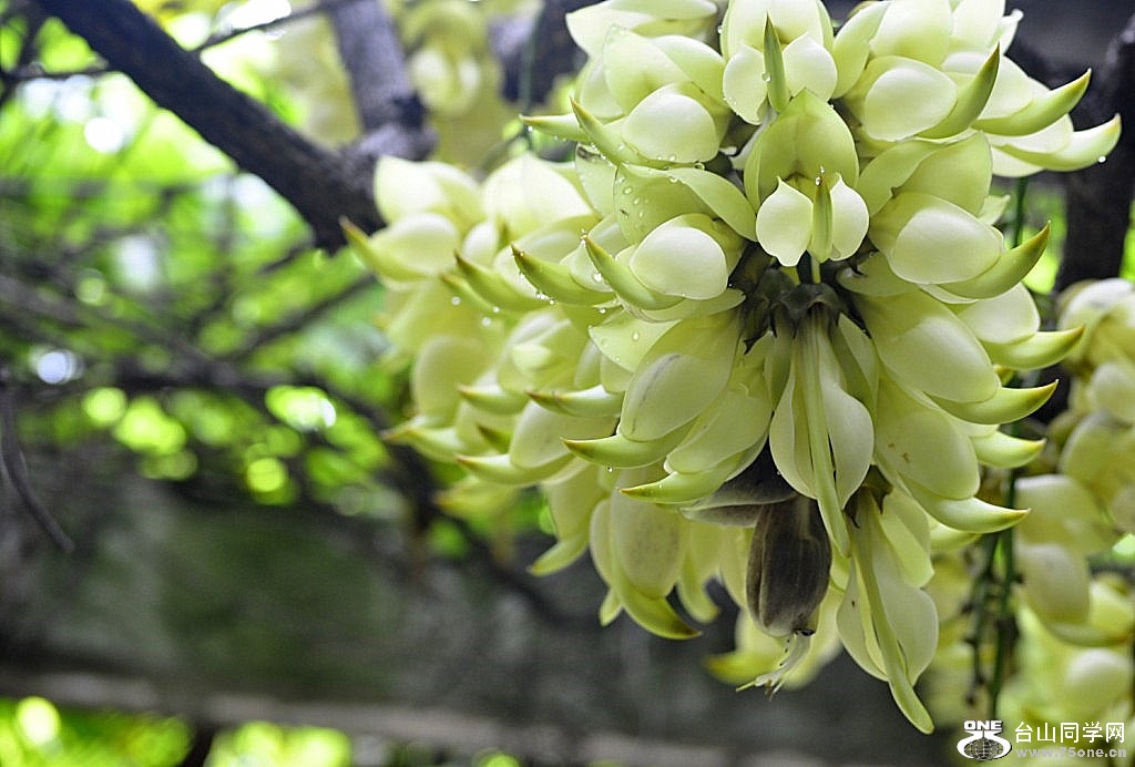 _DSC1204 [1024x768].JPG