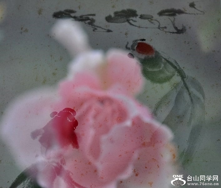 _DSC0475 [800x600].jpg