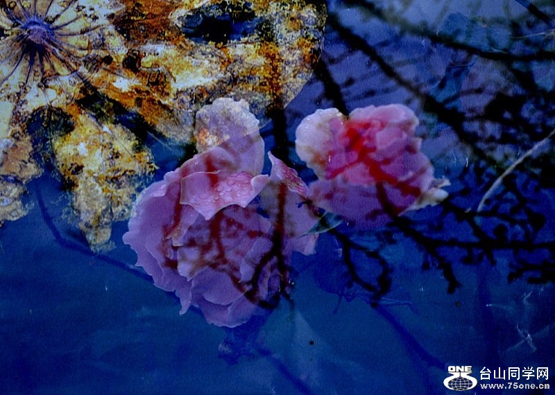 _DSC0451 [800x600].jpg