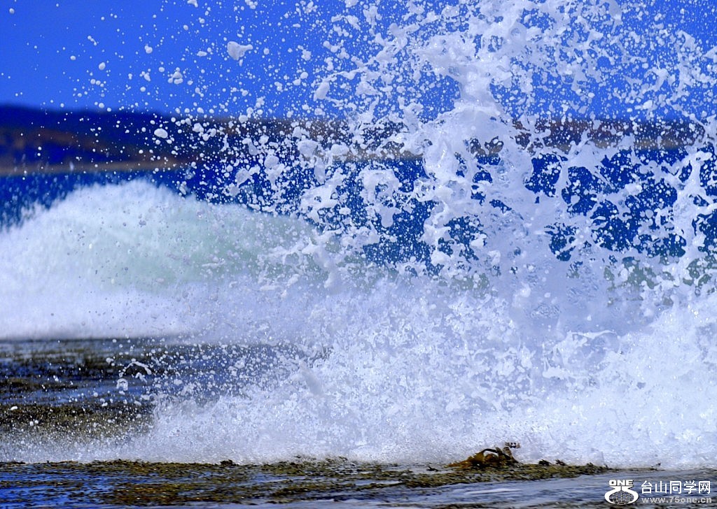 _DSC0256 [1024x768].JPG