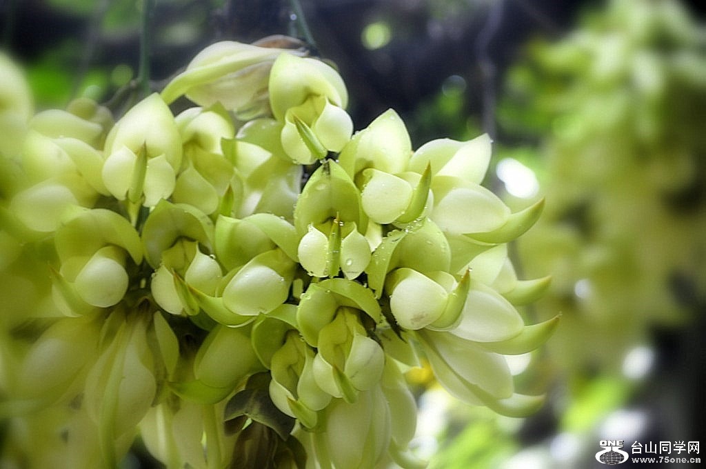 _DSC1203 [1024x768].JPG