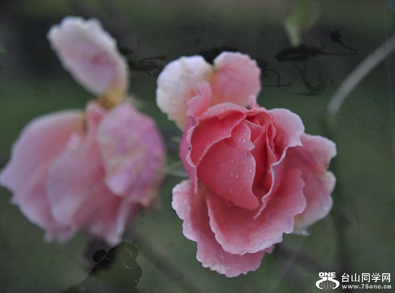 _DSC0482 [800x600].jpg