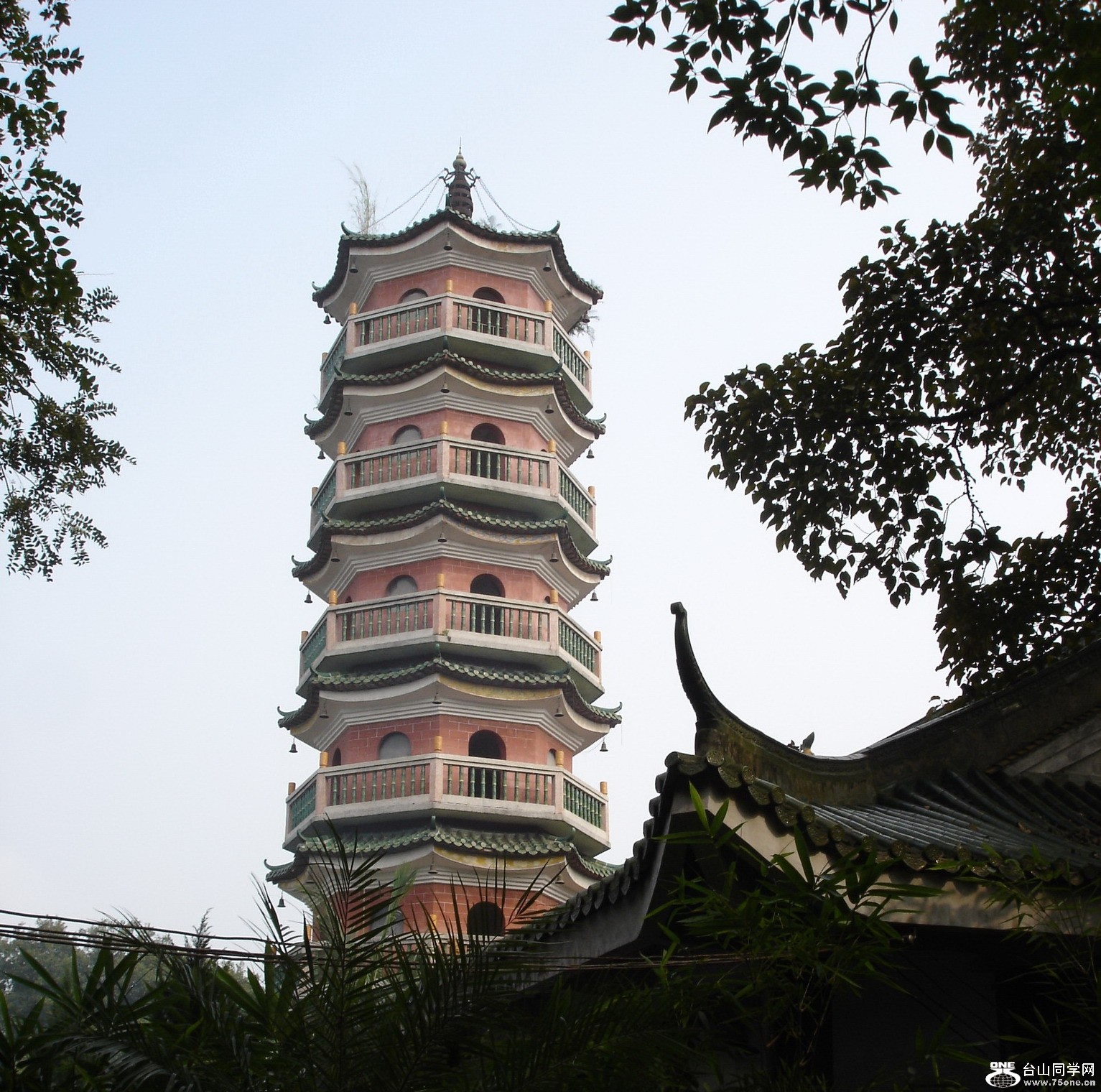 DSC01314A.jpg