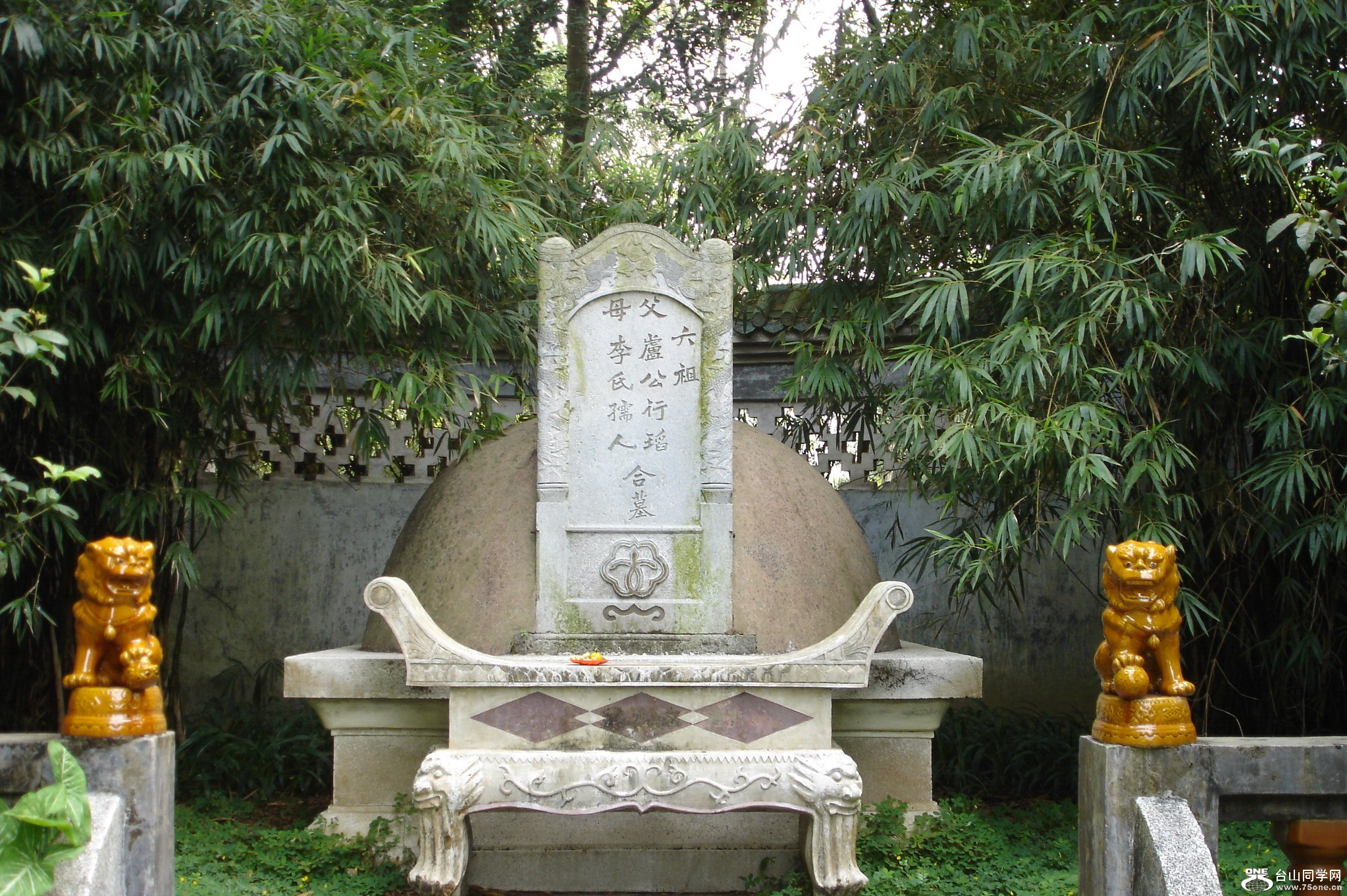 DSC01316A.jpg