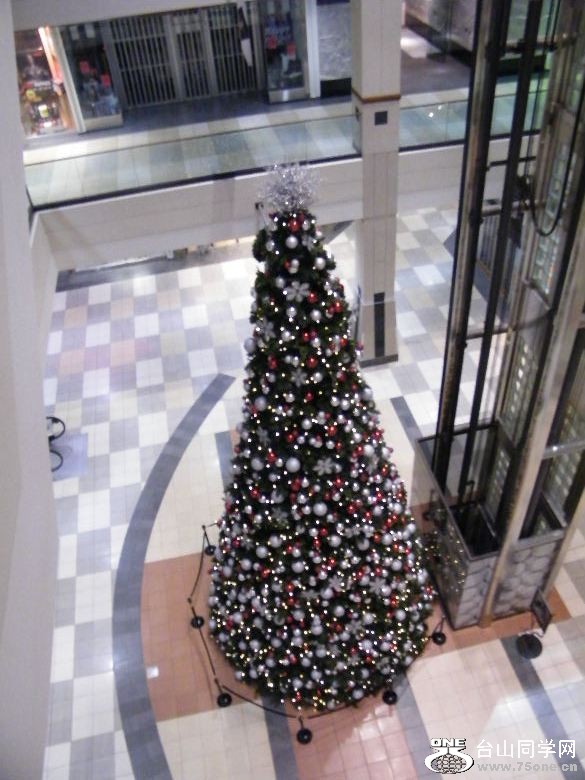 DSCF0946.JPG