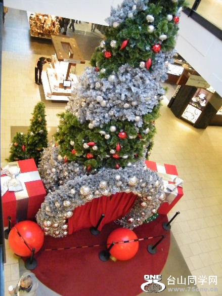 DSCF1145.JPG