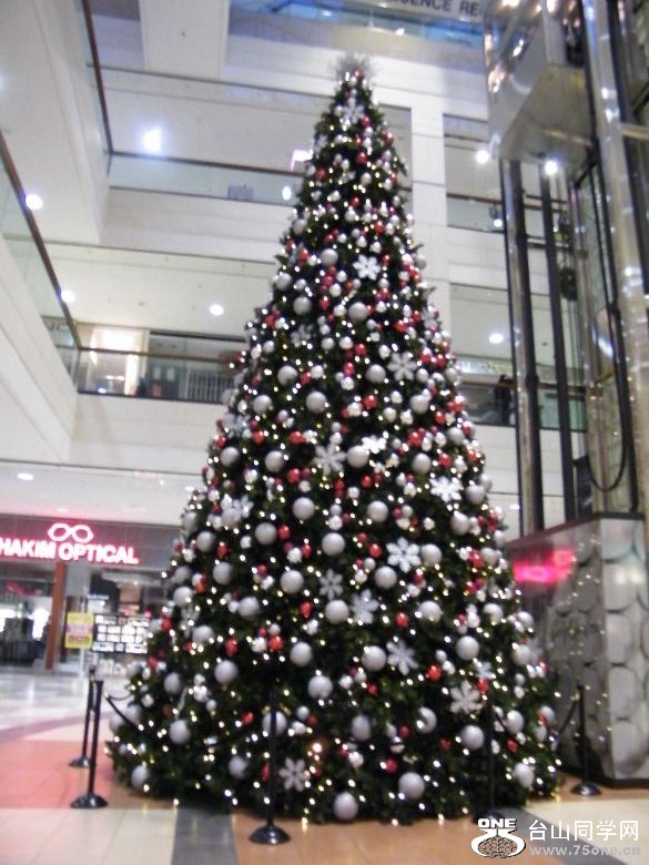 DSCF0954.JPG