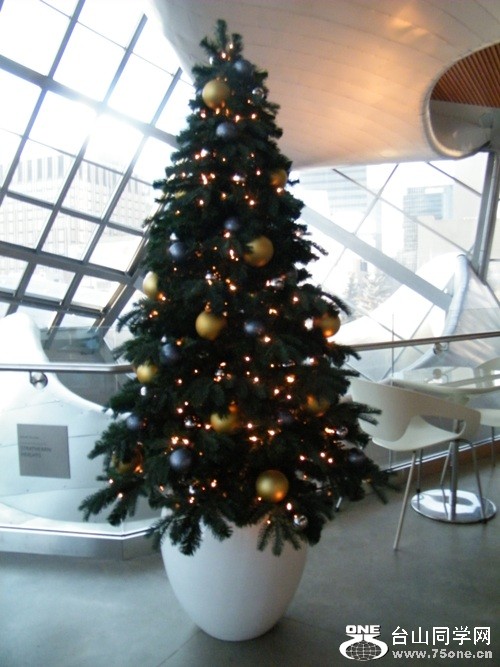DSCF0989.JPG