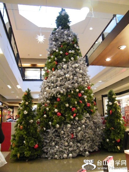 DSCF1152.JPG