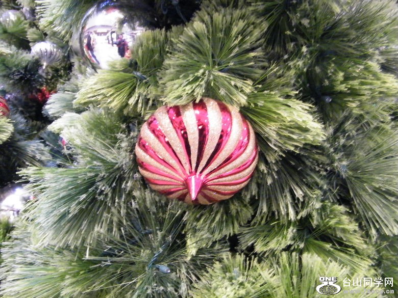 DSCF1150.JPG