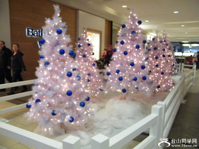 DSCF1128.JPG