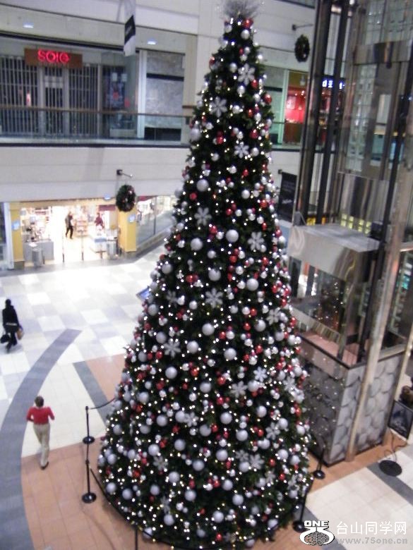 DSCF0947.JPG