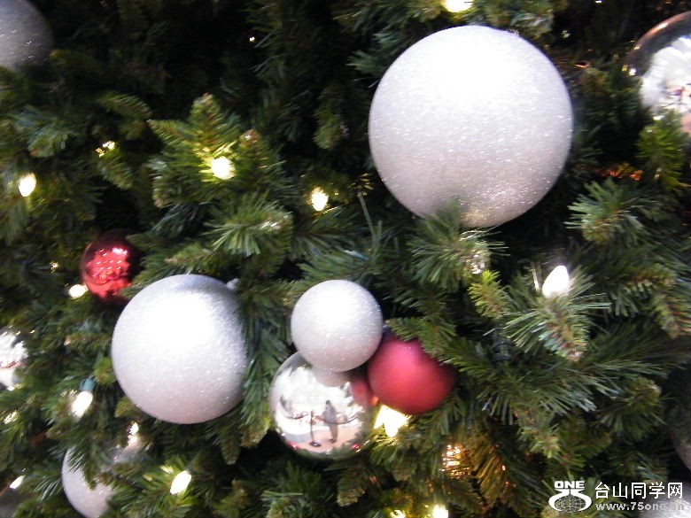 DSCF0961.JPG
