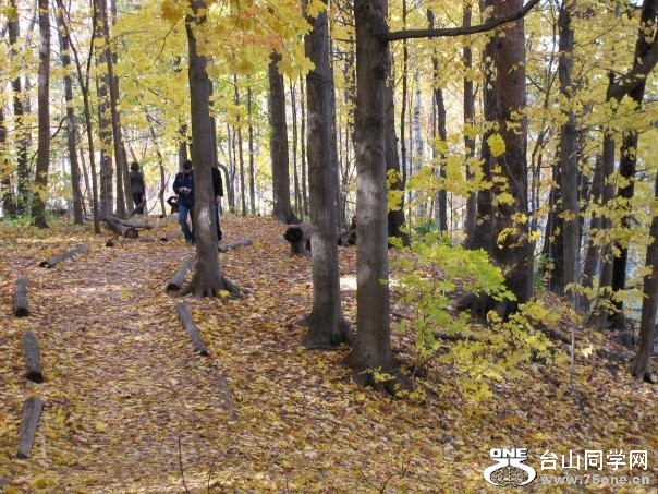 highpark6.jpg
